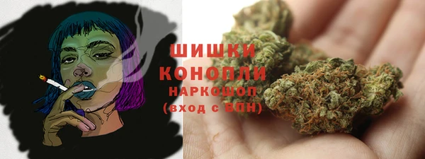 сатива Абдулино