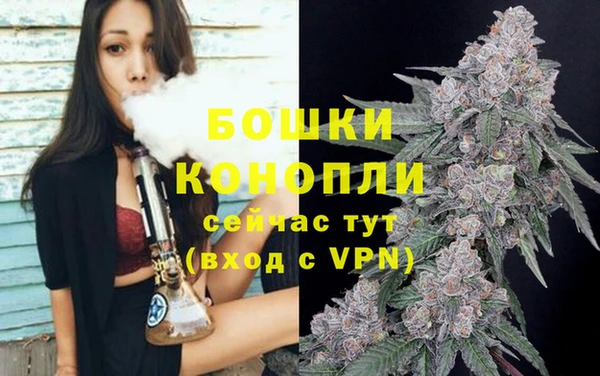 сатива Абдулино