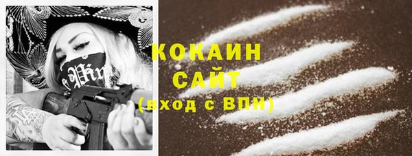 сатива Абдулино